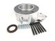 Figure 8 NP205 to 6 bolt round Dodge transmission adapter, factory Getrag replacement, big bearing 29 spline